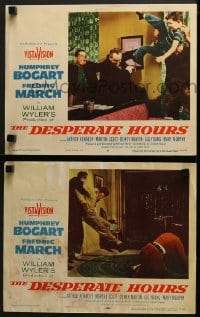 5w835 DESPERATE HOURS 2 LCs 1955 Humphrey Bogart, Fredric March, Dewey Martin, William Wyler!