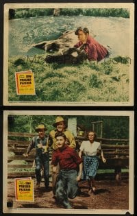 5w929 MY FRIEND FLICKA 2 LCs 1947 Roddy McDowall & his horse, Preston Foster, Rita Johnson!