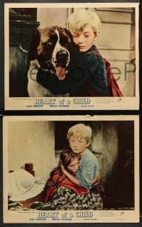 5w704 HEART OF A CHILD 3 English LCs 1958 great images of boy and his St. Bernard dog, Anderson!