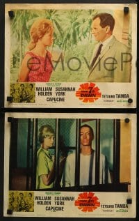 5w563 7th DAWN 4 LCs 1964 cool images of William Holden, sexy Susannah York & Capucine!