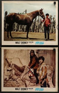 5w592 HANG YOUR HAT ON THE WIND 4 LCs 1969 Disney western, images of boy w/ his horse & donkey!
