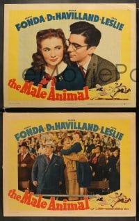 5w530 MALE ANIMAL 5 LCs 1942 Fonda, Olivia de Havilland, Leslie, Carson, Pallette, James Thurber!