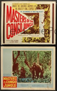 5w196 MASTERS OF THE CONGO JUNGLE 8 LCs 1960 the beginnings of man & beast, great TC art!