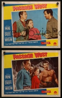 5w238 PASSAGE WEST 8 LCs 1951 cowboy western images of John Payne, Dennis O'Keefe, Arleen Whelan!