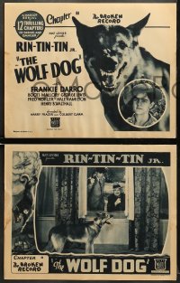 5w350 WOLF DOG 8 chapter 11 LCs 1933 German Shepherd Mascot serial, Frankie Darro, Broken Record!