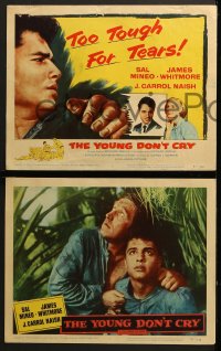 5w353 YOUNG DON'T CRY 8 LCs 1957 images of Sal Mineo, too tough for tears, James Whitmore!