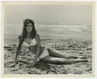 5x128 BIGGEST BUNDLE OF THEM ALL 8.25x10 still 1968 best c/u of sexiest Raquel Welch in bikini!