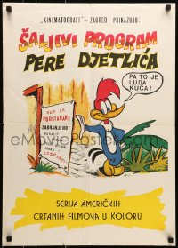 5y282 WOODY WOODPECKER Yugoslavian 20x27 1960s great art of the character next to sign!