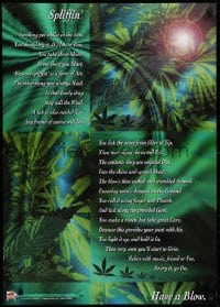5z946 SPLIFFIN' 24x34 English commercial poster 2000s poem and images of marijuana plants!