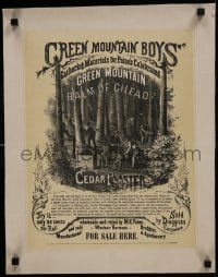 5z519 GREEN MOUNTAIN BALM OF GILEAD & CEDAR PLASTER 17x21 advertising poster 1870s the best ever!