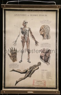 5z784 SHAPE OF WATER 18x27 special promotional poster 2017 anatomy chart of the Amphibian Man!