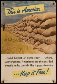5z316 THIS IS AMERICA KEEP IT FREE 24x36 WWII war poster 1942 grain sacks, keep it free!