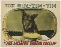 6b196 MILLION DOLLAR COLLAR LC 1929 wonderful portrait of Rin Tin Tin staring at pie, ultra rare!