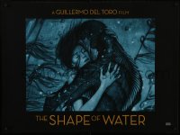 6c380 SHAPE OF WATER teaser British quad 2017 Guillermo del Toro, James Jean art, Best Picture!