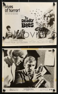 6d235 DEADLY BEES 19 8x10 stills 1967 hives of horror, fatal stings, images of swarm attacks!