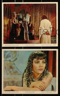6d002 KING OF KINGS 12 color 8x10 stills 1961 Nicholas Ray Biblical epic, top cast, religious images!