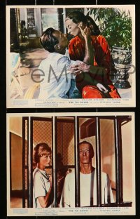 6d011 7th DAWN 8 color English FOH LCs 1964 William Holden, sexy Susannah York & Capucine!
