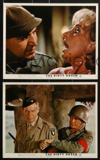 6d025 DIRTY DOZEN 8 color English FOH LCs 1967 Lee Marvin, Borgnine, Charles Bronson, Telly Savalas!