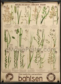 6g121 BAHLSEN 18x25 Czech advertising poster 1920s art and information of the many types of seed!
