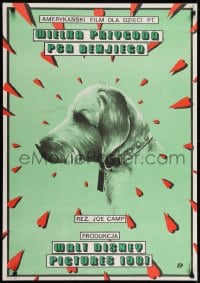 6p906 BENJI THE HUNTED Polish 27x38 1989 Skorwider art of classic Disney Border Terrier!
