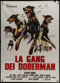 6t221 DOBERMAN GANG Italian 1p 1973 best different art of criminals with killer dogs robbing bank!