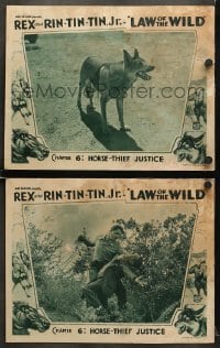 6w941 LAW OF THE WILD 2 chapter 6 LCs 1934 art/images of Rin Tin Tin Jr., Rex, Horse Thief Justice!