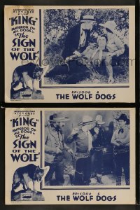 6w976 SIGN OF THE WOLF 2 chapter 6 LCs 1931 serial from Jack London's story, The Wolf Dogs!