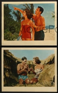 6w521 VIRGIN ISLAND 8 English LCs 1958 Sidney Poitier, John Cassavetes & sexy Virginia Maskell!