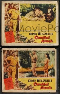 6w083 CANNIBAL ATTACK 8 LCs 1954 border art of Johnny Weissmuller w/knife + cool images!