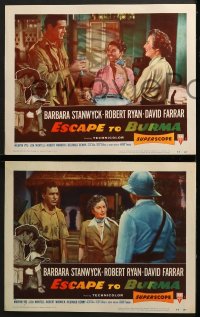 6w137 ESCAPE TO BURMA 8 LCs 1955 girl brings drinks for Robert Ryan & Barbara Stanwyck!