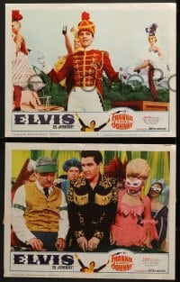 6w159 FRANKIE & JOHNNY 8 LCs 1966 Elvis Presley turns the land of the blues red hot!