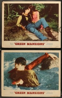 6w759 GREEN MANSIONS 4 LCs 1959 pretty Audrey Hepburn, Anthony Perkins, directed by Mel Ferrer!