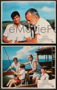 6w232 ISLANDS IN THE STREAM 8 LCs 1977 Ernest Hemingway, George C. Scott, Franklin J. Schaffner!
