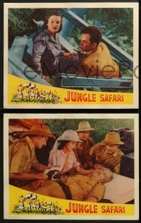 6w766 JUNGLE SAFARI 4 LCs 1956 Lois Collie, Edward Norris, terror in wildest Africa, Jungle Queen!