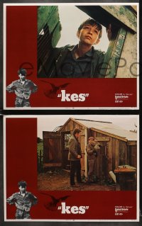 6w246 KES 8 LCs 1970 Ken Loach, young David Bradley only cares about his kestrel falcon!