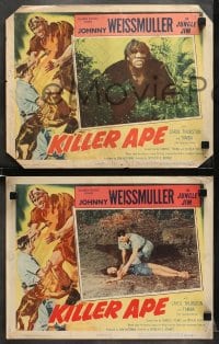 6w585 KILLER APE 7 LCs 1953 Weissmuller as Jungle Jim, drug-mad beasts ravage human prey!