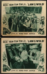 6w840 LAW OF THE WILD 3 chapter 6 LCs 1934 art of Rin Tin Tin Jr., Rex, Horse Thief Justice!
