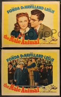 6w773 MALE ANIMAL 4 LCs 1942 Fonda, Olivia de Havilland, Leslie, Carson, Pallette, James Thurber!