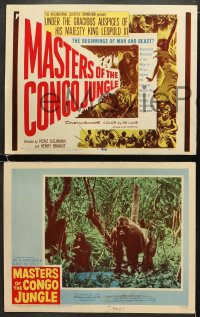 6w298 MASTERS OF THE CONGO JUNGLE 8 LCs 1960 the beginnings of man & beast, great TC art!