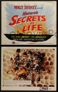6w421 SECRETS OF LIFE 8 LCs 1956 Disney's most amazing & miraculous True Life Adventure feature!