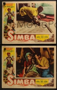 6w674 SIMBA 6 LCs 1955 Dirk Bogarde & Virginia McKenna's love defied primitive jungle laws!