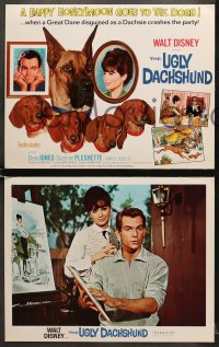 6w021 UGLY DACHSHUND 9 LCs 1966 Walt Disney, wacky image of Great Dane with wiener dogs!