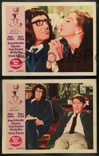 6w528 WHAT'S NEW PUSSYCAT 8 LCs 1965 Woody Allen, Peter O'Toole, Peter Sellers, Capucine, Andress!