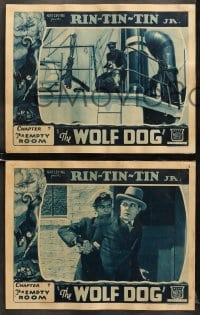 6w690 WOLF DOG 6 chapter 7 LCs 1933 German Shepherd Mascot serial, Frankie Darro, Broken Record!
