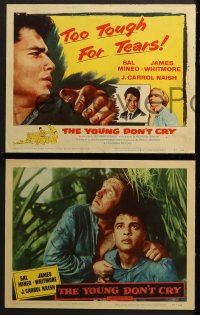 6w541 YOUNG DON'T CRY 8 LCs 1957 images of Sal Mineo, too tough for tears, James Whitmore!