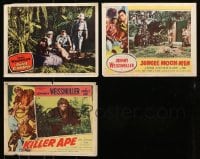 6x206 LOT OF 3 LOBBY CARDS FROM JUNGLE JIM MOVIES 1950s Johnny Weissmuller in Africa!