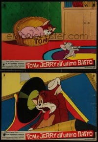 6y815 TOM & JERRY group of 2 Italian 19x27 pbustas 1963 MGM cartoon!