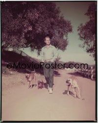 7a148 ALAN LADD group of 2 8x10 transparencies 1950s with his dogs & chickens by Bud Fraker!