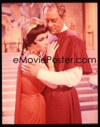 7a170 CLEOPATRA 4x5 transparency 1963 c/u of Rex Harrison as Caesar comforting Elizabeth Taylor!