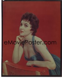 7a107 GINA LOLLOBRIGIDA 8x10 transparency 1950s leaning on chair in low-cut dress & short hair!